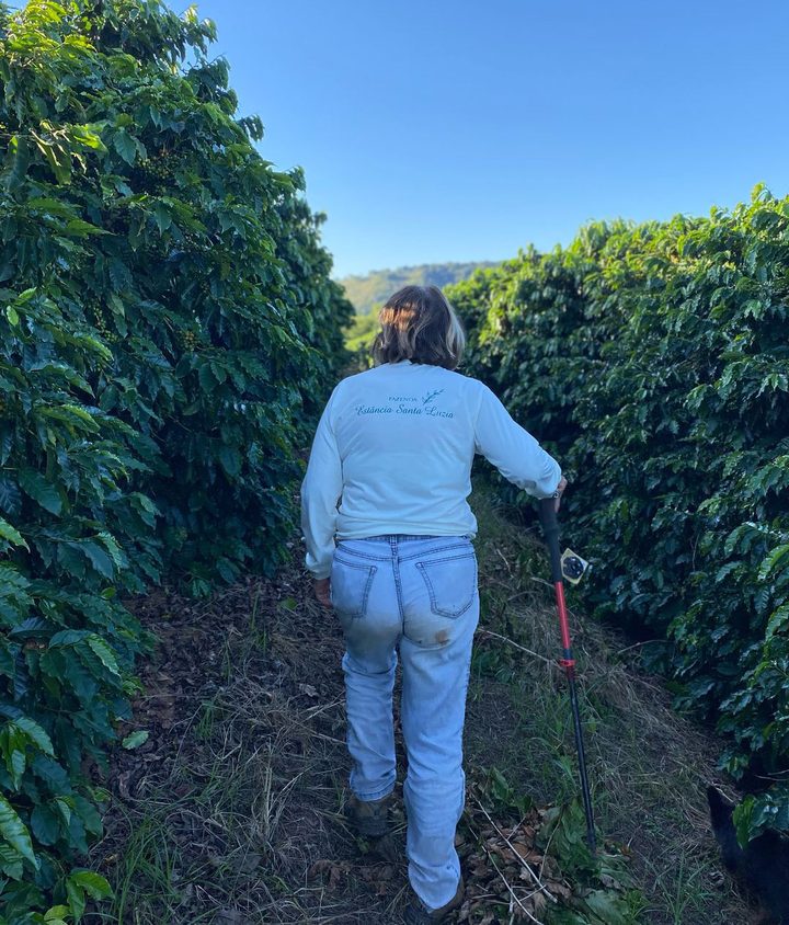 A producer in an Estância Santa Luzia shirt walking between rows of coffee trees
